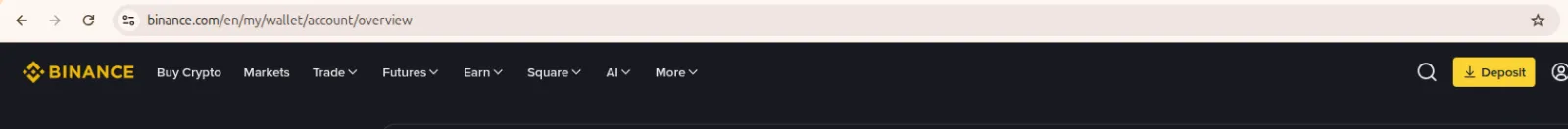 Browser address bar showing the full Binance domain